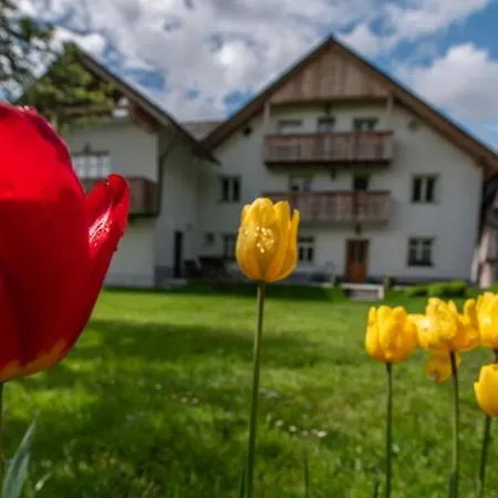 Apartma In Sobe Pr'objan Guest house