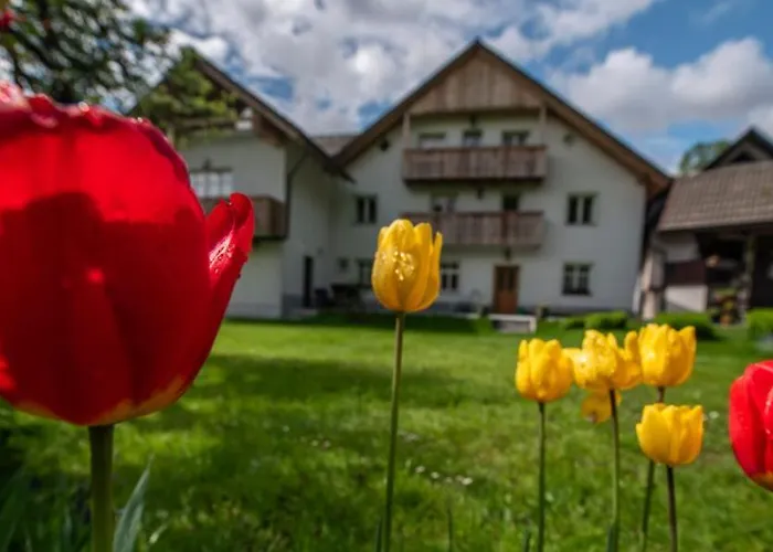 Apartma In Sobe Pr'objan Hiša za goste